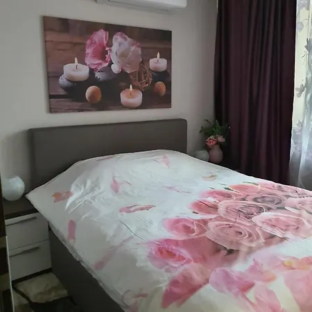 Vip & Parking Apartment